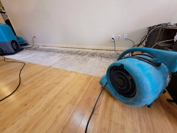 Professional Structural Drying technician working in Egg Harbor, WI